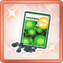 File:AS 防御类型 种子.png