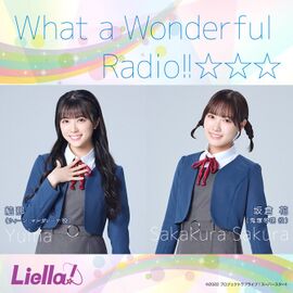 What a Wonderful Radio!! 2.jpg